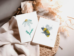 Greeting Cards