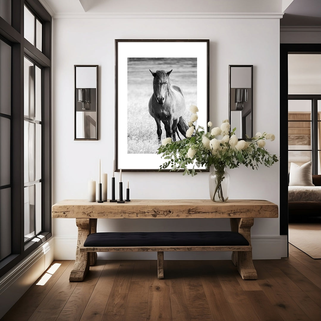 Icelandic pony fine art photograph