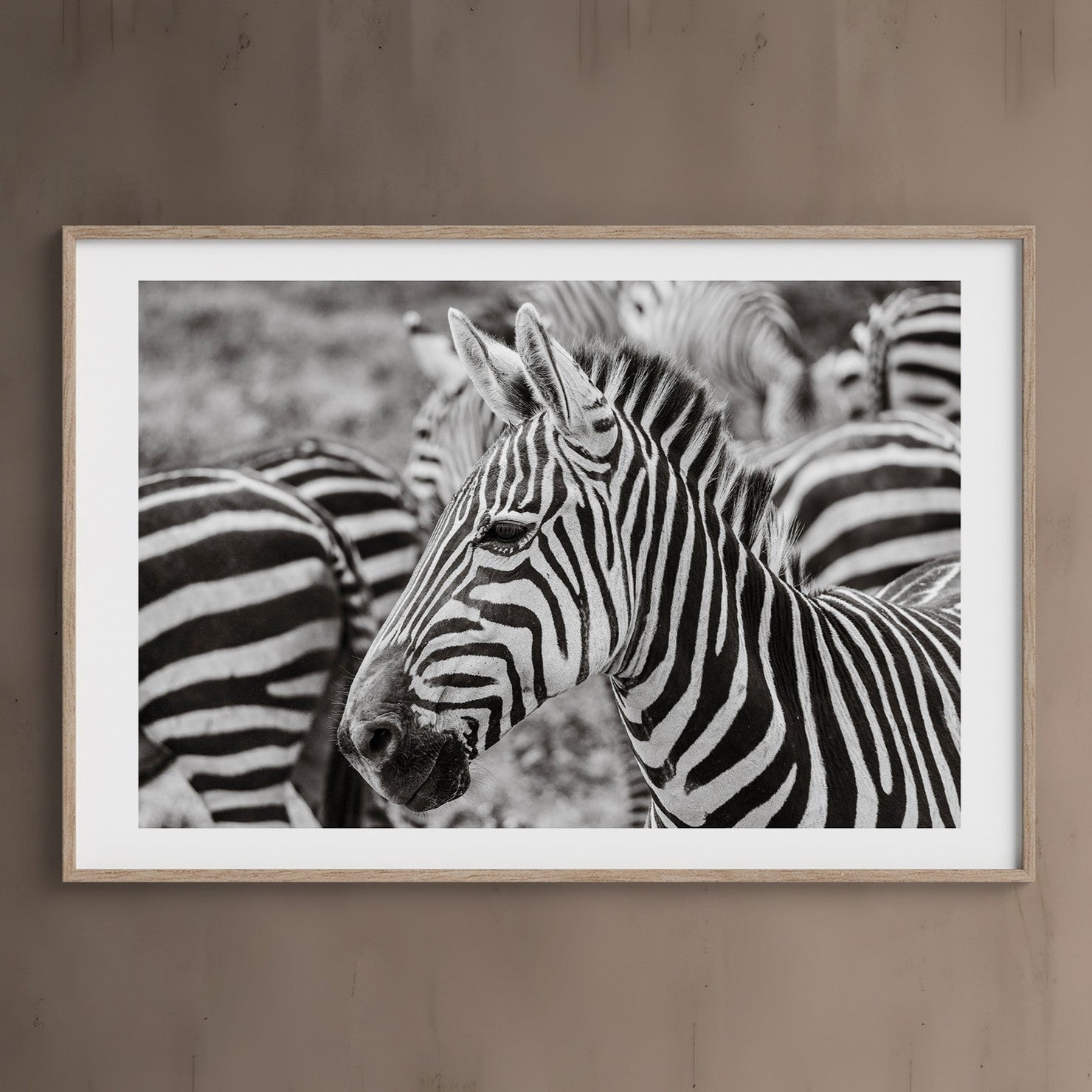 Fine Art Photography