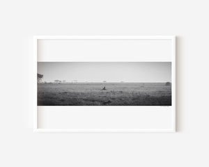 Cheetah resting alone in Central Serengeti National Park, Tanzania — surrounded by soft light and open space. Fine art wildlife print evoking solitude and quiet beauty.