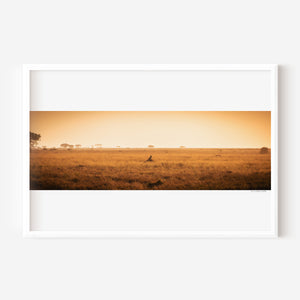 Cheetah resting alone in Central Serengeti National Park, Tanzania — surrounded by soft light and open space. Fine art wildlife print evoking solitude and quiet beauty.