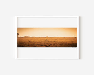 Cheetah resting alone in Central Serengeti National Park, Tanzania — surrounded by soft light and open space. Fine art wildlife print evoking solitude and quiet beauty.