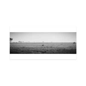 Cheetah resting alone in Central Serengeti National Park, Tanzania — surrounded by soft light and open space. Fine art wildlife print evoking solitude and quiet beauty.
