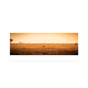 Cheetah resting alone in Central Serengeti National Park, Tanzania — surrounded by soft light and open space. Fine art wildlife print evoking solitude and quiet beauty.