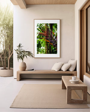 Fine art photograph of ember-toned palm fronds blending into green rainforest foliage, highlighting colour harmony, texture, and tropical natural beauty.
