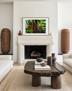 Fine art photograph of a palm branch in warm ember tones set against a green rainforest, highlighting colour contrast, texture, and tropical natural beauty.