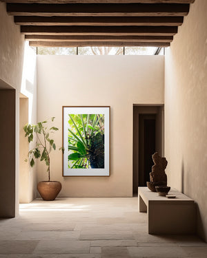 Fine art photograph of leaves viewed from below with soft tones, highlighting light, balance, and an open, serene canopy scene.
