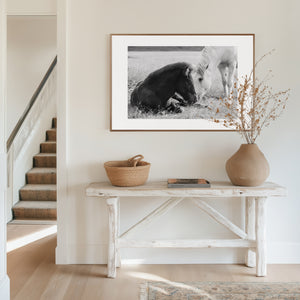 Icelandic pony foal leaning gently toward its mother, captured in a quiet moment of harmony and connection.