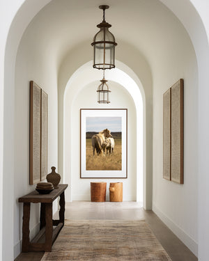 Icelandic pony mare nursing her foal in a quiet moment of care and connection.