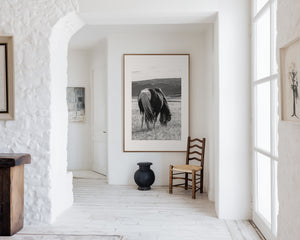 An Icelandic pony grazing beneath a gentle sky, its mane lifted softly by the wind — a serene image symbolizing calm, spirit, and quiet freedom.
