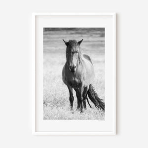 An Icelandic pony standing strong beneath the open sky, its mane stirred by the wind — a symbol of power, resilience, and the spirit of Thor’s Hammer.