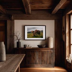 Three Icelandic ponies in moody high-contrast fine art photograph, ember-coated horse watching from the dark, Iceland.