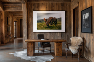 Three Icelandic ponies in moody high-contrast fine art photograph, ember-coated horse watching from the dark, Iceland.