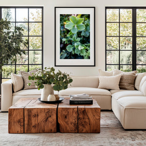 Green flower hellebore fine art photo showing delicate bloom, soft green tones, and botanical symmetry