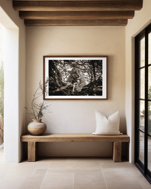 Leopard resting in a tree in Central Serengeti National Park, Tanzania — captured in a moment of stillness and quiet power. Fine art wildlife photography print.