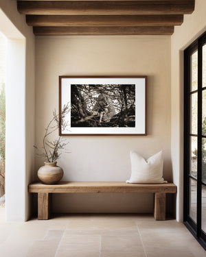 Leopard resting in a tree in Central Serengeti National Park, Tanzania — captured in a moment of stillness and quiet power. Fine art wildlife photography print.