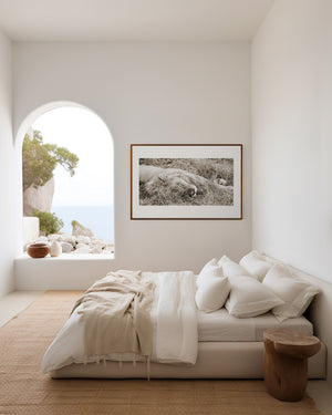 Sleeping male lion in the Serengeti, captured in a fine art wildlife photography print