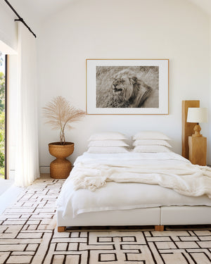 Confident male lion lying down in the Serengeti, with a relaxed expression — fine art wildlife photography print