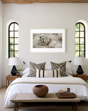 Male lion resting upright in Serengeti National Park, Tanzania — calm yet alert. Fine art wildlife print capturing quiet strength and focused presence.
