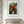 Fine art photograph of a Scarlet Macaw perched gracefully, showing vibrant red plumage, detailed feathers, and a poised, elegant wildlife moment.