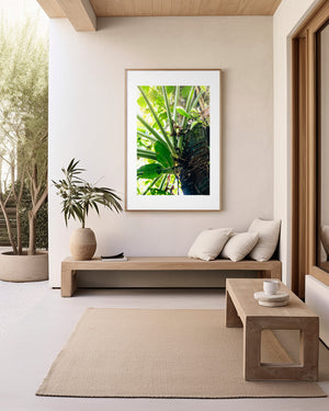 Fine art photograph of leaves viewed from below with soft tones, highlighting light, balance, and an open, serene canopy scene.