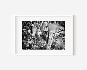 Mother sloth holding her baby in a tropical tree, soft light highlighting their gentle forms, conveying warmth, care, and fine art photography.