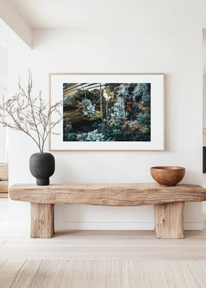 Fine art botanical photo of clustered desert succulents, showcasing repeating rosette forms, subtle color variation, texture, and natural pattern.