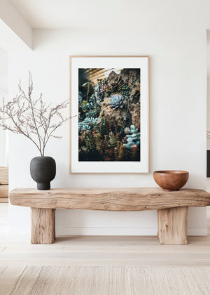Fine art botanical photo of desert succulents in layered rosette formations, capturing symmetry, texture, muted green tones, and organic desert plant detail.