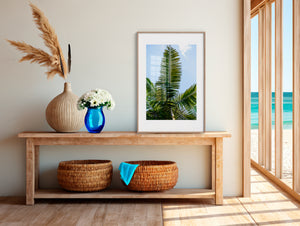 Fine art photograph of a tropical palm tree from the ground, shown in colour, black-and-white, and sepia, highlighting vertical lines, silhouette, form, and the serene beauty of nature.