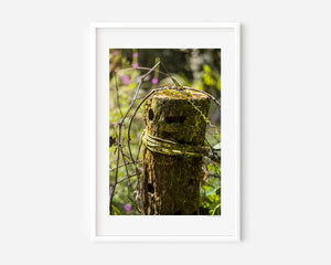 Minimal fine art photograph of a garden post, highlighting soft curves, texture, and subtle shadows in a calm, natural setting.