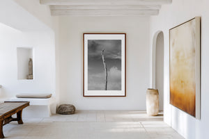 Lone tree with bare trunk standing against cloudy sky in minimalist landscape photography.