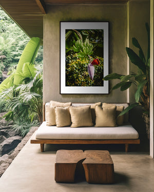Musa Roja red banana bloom with clusters of bananas above, tropical leaves and light creating a serene, sculptural composition, fine art photography.