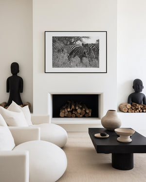 A group of zebras moving through tall grass in the Serengeti, with one zebra pausing to look directly at the camera. Fine art wildlife photograph.