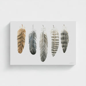 Feathers of the North watercolour artwork featuring illustrated feathers from the Great Horned Owl, Common Raven, Bald Eagle, Gyrfalcon and Northern Goshawk, printed as a fine art giclée canvas.
