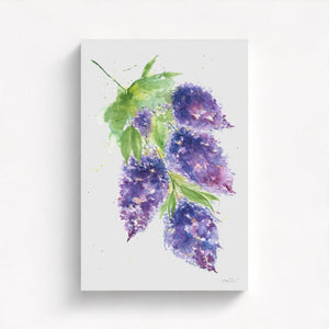 Eco-friendly watercolour painting of soft purple lilacs, evoking calm and natural beauty.