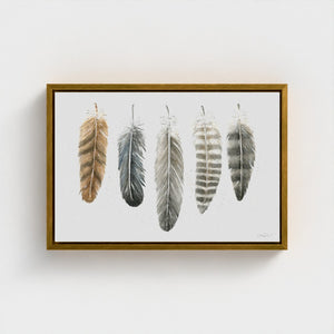 Feathers of the North watercolour artwork featuring illustrated feathers from the Great Horned Owl, Common Raven, Bald Eagle, Gyrfalcon and Northern Goshawk, printed as a fine art giclée canvas.

