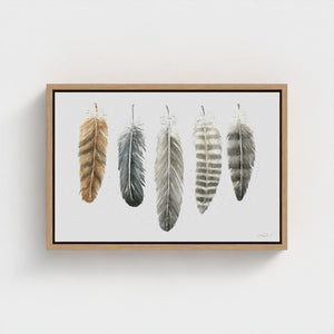 Feathers of the North watercolour artwork featuring illustrated feathers from the Great Horned Owl, Common Raven, Bald Eagle, Gyrfalcon and Northern Goshawk, printed as a fine art giclée canvas.
