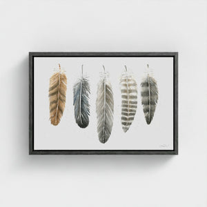 Feathers of the North watercolour artwork featuring illustrated feathers from the Great Horned Owl, Common Raven, Bald Eagle, Gyrfalcon and Northern Goshawk, printed as a fine art giclée canvas.

