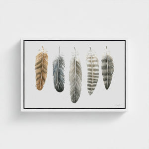 Feathers of the North watercolour artwork featuring illustrated feathers from the Great Horned Owl, Common Raven, Bald Eagle, Gyrfalcon and Northern Goshawk, printed as a fine art giclée canvas.
