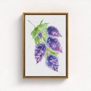 Eco-friendly watercolour painting of soft purple lilacs, evoking calm and natural beauty.
