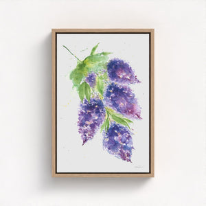 Eco-friendly watercolour painting of soft purple lilacs, evoking calm and natural beauty.